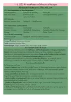 Vorschau - Stundenentwürfe - Marzipanschwein - Kreatives Lebensmittelprojekt für die Grundschule🐷 - Seite 1