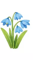 Vorschau - selbst erstellte Cliparts/Grafiken - Cliparts Frühblüher / Frühlingsblumen - Seite 2