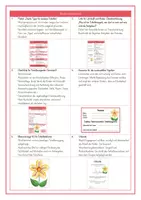 Vorschau - Poster - Toilettenblume – Klassenzimmer-Tool für saubere Schultoiletten & Verantwortung (Grundschule) - Seite 2