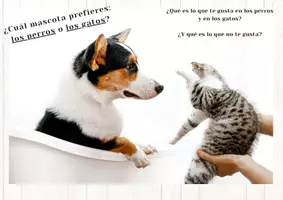 Vorschau - Arbeitsblätter - Prompt - Perros o Gatos - Deckblatt