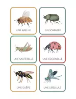 Aperçu - Préparation de séance / Séance complète - Insectes Cahier d'activités +49 fiches d'activités - Page 2