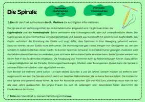 Vorschau - Arbeitsblätter - Vom Kondom bis zur Spirale: Verhütungsmittel im Vergleich - Seite 3