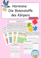 Vorschau - Arbeitsblätter - Hormone: Die Botenstoffe in unserem Körper - Deckblatt