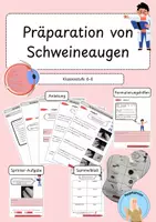 Vorschau - Arbeitsblätter - Anleitung zur Präparation eines Schweineauges - Deckblatt