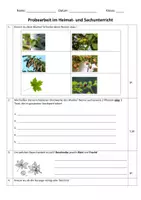 Vorschau - Arbeitsblätter - HSU-Probe Thema "Der Wald" (Kl. 3/4) - Seite 2
