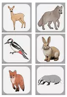 Vorschau - Spiele - Tiere im Winter – Paare finden-Spiel (Tiere & Tierspuren) | Sachunterricht Klasse 2–3 - Seite 3