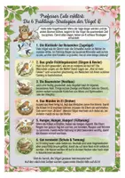 Vorschau - Mal- und Bastelvorlagen - Vögel im Frühling XXL: Steckbriefe, 6 Strategien, Quiz, Ausmalbilder & Interaktive Präsentation! - Seite 2