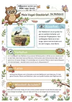 Vorschau - Mal- und Bastelvorlagen - Vögel im Frühling XXL: Steckbriefe, 6 Strategien, Quiz, Ausmalbilder & Interaktive Präsentation! - Seite 3