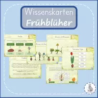 Vorschau - Stationenlernen - Wissenskarten Frühblüher - Deckblatt