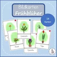 Vorschau - Poster - Frühblüher Bildkarten Wortkarten Tafelmaterial - Deckblatt