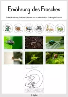 Vorschau - Stundenentwürfe - Ernährung des Frosches (Bildkarten, Legematerial & Arbeitsblatt) - Deckblatt