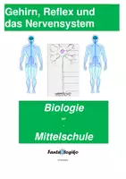 Vorschau - Stundenentwürfe - Gehirn, Reflex und Nervensystem - Deckblatt