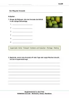 Vorschau - Arbeitsblätter - Avocado - Arbeitsblätter mit Lösungen PDF - Seite 1