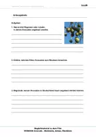 Vorschau - Arbeitsblätter - Avocado - Arbeitsblätter mit Lösungen PDF - Seite 3