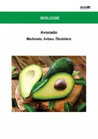 Vorschau - Arbeitsblätter - Avocado - Arbeitsblätter mit Lösungen PDF - Deckblatt