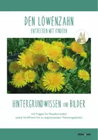 Vorschau - Poster - DER LÖWENZAHN: Hintergrundwissen und Bildmaterial - Seite 1
