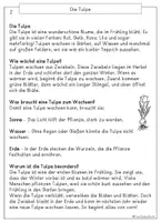 Vorschau - Arbeitsblätter - 5 Frühblüher, Leseverständnis Sachtexte, Klasse 2, 3 - Seite 2