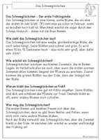 Vorschau - Arbeitsblätter - 5 Frühblüher, Leseverständnis Sachtexte, Klasse 2, 3 - Seite 3