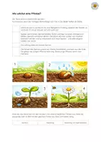 Vorschau - Arbeitsblätter - Gänseblümchen - Pflanzenwachstum + Bildkarten - Deckblatt