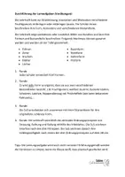 Vorschau - Unterrichtsreihen - Materialpaket Projekte Kunst Klasse 5 und Klasse 6 - Seite 2