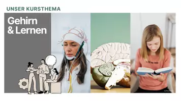 Vorschau - Unterrichtsreihen - Präsentation Unterrichtsreihe Gehirn & Lernen Neurobiologie - Seite 1