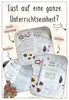 Vorschau - Stundenentwürfe - Hormone: Schlüssel-Schloss-Prinzip, Hormondrüsen, Diabetes, Stressreaktion | Biologie 8 | sofort einsetzbare stressfreie Unterrichtsreihe | Forscherheft - Seite 1