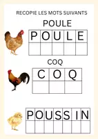 Aperçu - Jeux - cycle de vie de la poule - Page 2