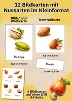 Vorschau - Bildkarten - Nusssorten sicher bestimmen – 12 realistische Bildkarten für Ernährungsbildung & Sachunterricht - Seite 2