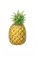 Vorschau - selbst erstellte Cliparts/Grafiken - Cliparts Obst und Gemüse - Seite 2
