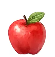Vorschau - selbst erstellte Cliparts/Grafiken - Cliparts Obst und Gemüse - Seite 3