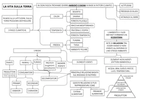 anteprima - Materiale di supporto/inclusione - Mappa concettuale "La vita sulla terra" - Pagina di copertina
