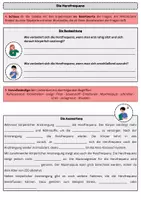 Vorschau - Arbeitsblätter - Schülerversuch zur Herzfrequenz - Seite 3