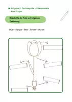 Vorschau - Unterrichtsreihen - Frühblüher - Kraftpakete unter der Erde - Seite 2