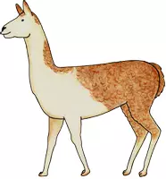 Vorschau - selbst erstellte Cliparts/Grafiken - Tiere von A bis Z Cliparts - Seite 2