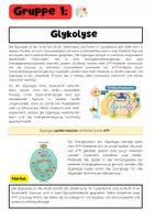 Vorschau - Arbeitsblätter - Zellbiologie Materialpaket: Zelle, Zellorganellen, Pflanzenzelle, Tierzelle, Zellatmung - Seite 2