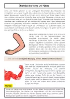 Vorschau - Arbeitsblätter - Arme und Hände Aufbau und Funktionen - Seite 1