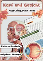 Vorschau - Arbeitsblätter - Kopf und Gesicht Augen, Nase, Mund, Ohren - Deckblatt