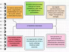 Vista previa - Para docentes: organización, planificación y formación - Esquema resumen Tema 3 - página 2