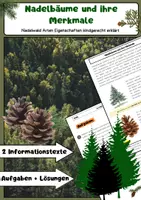Vorschau - Arbeitsblätter - Nadelbäume und ihre Merkmale: Zapfen & Windbestäubung - Deckblatt