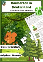 Vorschau - Arbeitsblätter - Baumarten in Deutschland: Eiche, Buche, Fichte & Kiefer - Deckblatt