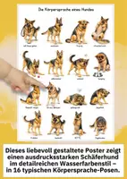 Vorschau - Poster - Hunde Körpersprache verstehen – 16 Posen eines Schäferhundes als Lernposter DIN A4 & A3 - Seite 1
