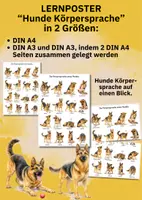 Vorschau - Poster - Hunde Körpersprache verstehen – 16 Posen eines Schäferhundes als Lernposter DIN A4 & A3 - Seite 2