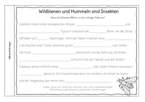 Vorschau - Arbeitsblätter - Forscherheft Wildbienen und Hummeln Klasse 3 und 4 - Seite 3