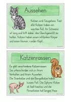 Vorschau - Stationenlernen - Katze Wissenskartei - Seite 3