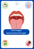 Vorschau - Arbeitsblätter - Materialpaket 25 Klettmappen Sprachförderung Mengenlehre - Seite 1