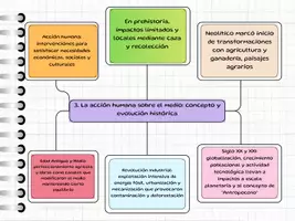 Vista previa - Para docentes: organización, planificación y formación - Esquema resumen Tema 5 - página 2