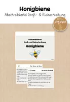 Vorschau - Arbeitsblätter - Honigbiene - Abschreibkartei Groß- & Kleinschreibung - Deckblatt