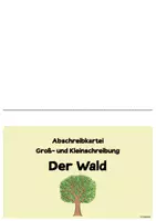 Vorschau - Arbeitsblätter - Wald - Abschreibkartei Groß- & Kleinschreibung - Seite 1