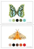 Vista previa - Unidades / Secuencias / Situaciones de Aprendizaje - SIMETRÍA de los INSECTOS - Colores - página 1
