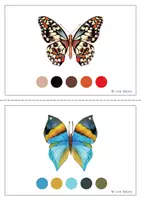 Vista previa - Unidades / Secuencias / Situaciones de Aprendizaje - SIMETRÍA de los INSECTOS - Colores - página 2